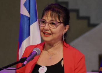 Ministerio de Medio Ambiente responde ante fallo de la Suprema por Dominga: «No implica una resolución de fondo al proyecto»