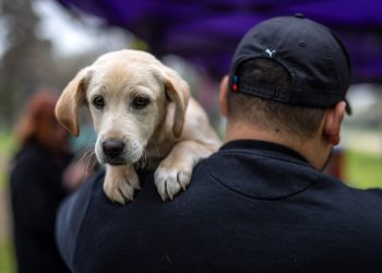 Fiestas Patrias, prevención y cuidado de la salud