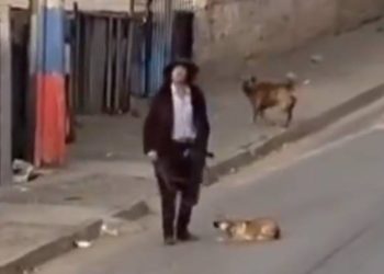 Polémica por dichos de Artés y eventual Gobierno de Kast: “La calle no lo va a dejar y nosotros no lo vamos a dejar”