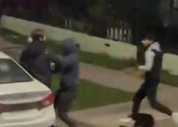 La Corporación Cultural de Viña se prepara para el Sigall 2025