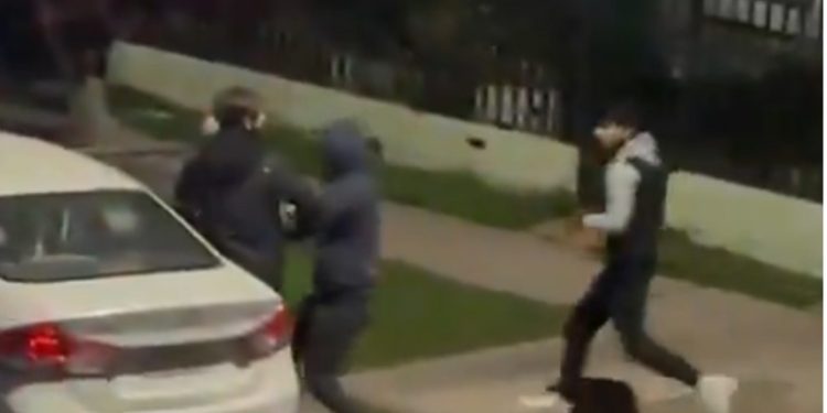 La Corporación Cultural de Viña se prepara para el Sigall 2025