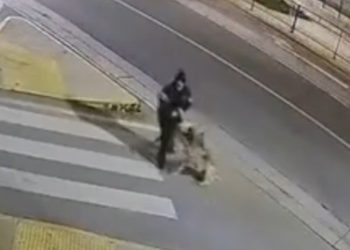 La Corporación Cultural de Viña se prepara para el Sigall 2025