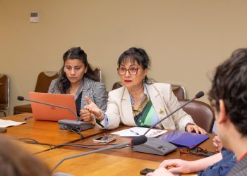 Veterinarios: guardianes del bienestar animal y del equilibrio ambiental