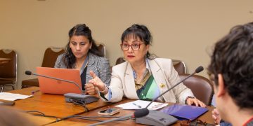 Veterinarios: guardianes del bienestar animal y del equilibrio ambiental