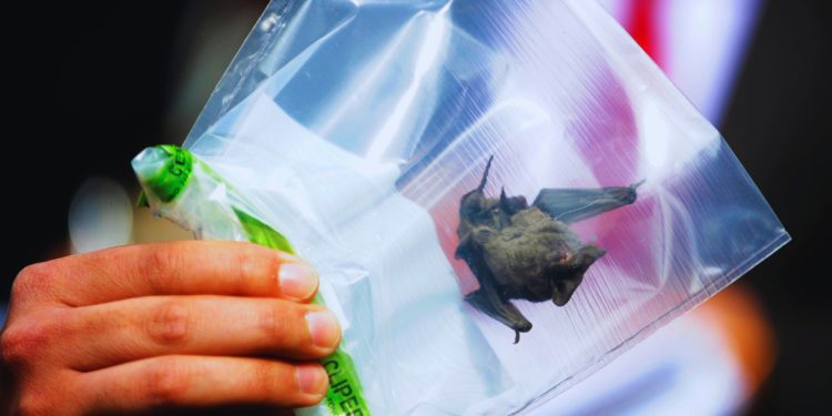 Quillota inaugura Centro de Acompañamiento Familiar Primavera para fortalecer apoyo biopsicosocial a familias