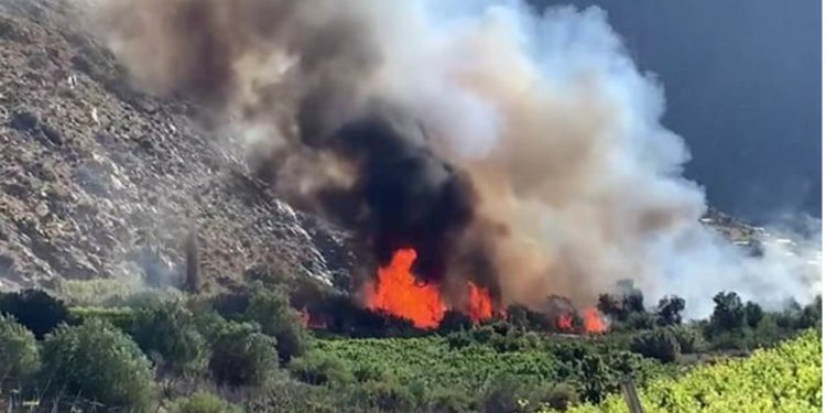 Incertidumbre económica: el resultado de congelar la UF