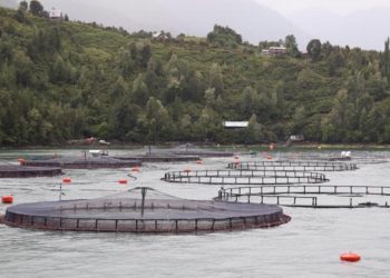 Parlamentarios emplazan a autoridades tras nuevos episodios de contaminación en Quintero y Puchuncaví: “La salud de las personas está por sobre cualquier interés o justificación”