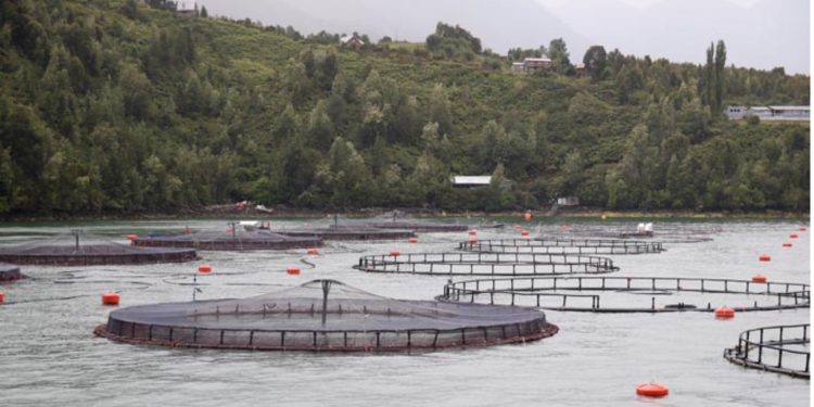 Parlamentarios emplazan a autoridades tras nuevos episodios de contaminación en Quintero y Puchuncaví: “La salud de las personas está por sobre cualquier interés o justificación”