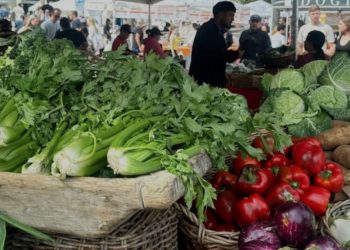 Críticas y reacciones ante humillante eliminación de la Roja Sub20