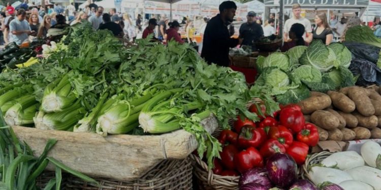 Críticas y reacciones ante humillante eliminación de la Roja Sub20