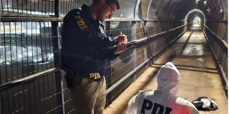 Anotaciones invisibles en la muerte de Julia Chuñil