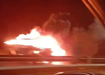 Detener la violencia escolar: una visión integral desde el Estado