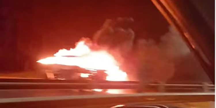 Detener la violencia escolar: una visión integral desde el Estado