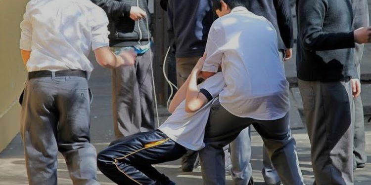 Detener la violencia escolar: una visión integral desde el Estado