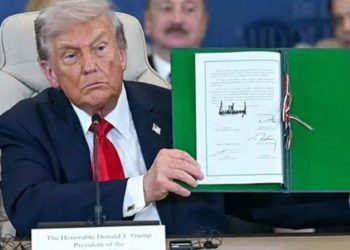 Detener la violencia escolar: una visión integral desde el Estado