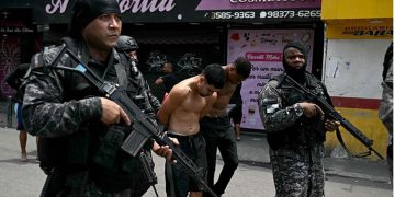 Veterinarios: guardianes del bienestar animal y del equilibrio ambiental