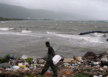 Veterinarios: guardianes del bienestar animal y del equilibrio ambiental