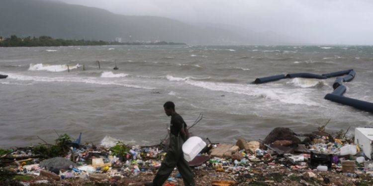 Veterinarios: guardianes del bienestar animal y del equilibrio ambiental