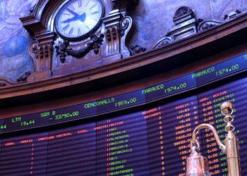 Veterinarios: guardianes del bienestar animal y del equilibrio ambiental