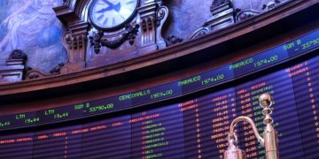 Veterinarios: guardianes del bienestar animal y del equilibrio ambiental