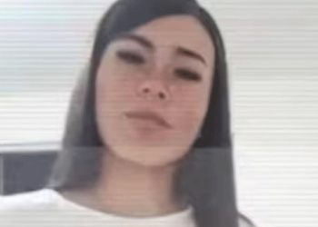 Veterinarios: guardianes del bienestar animal y del equilibrio ambiental