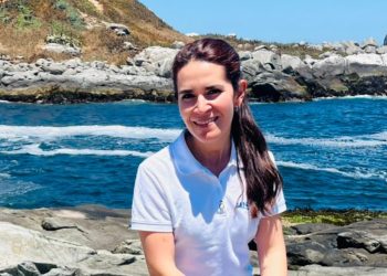 Veterinarios: guardianes del bienestar animal y del equilibrio ambiental