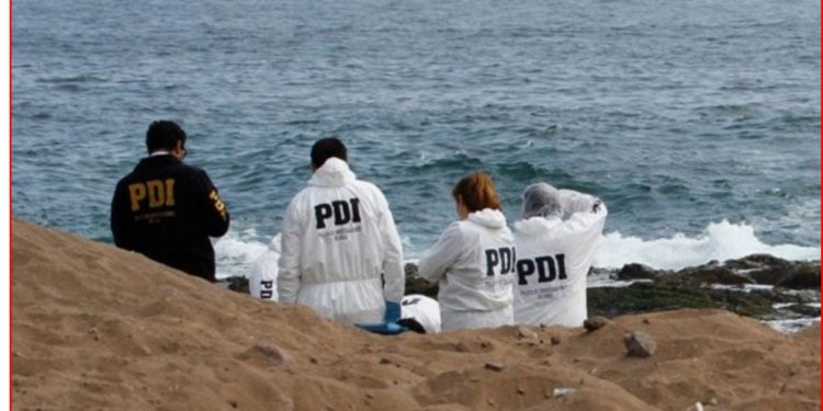 Marcelino Núñez marcó dos golazos para el triunfo de su equipo en Inglaterra