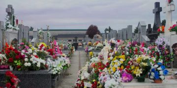 Marcelino Núñez marcó dos golazos para el triunfo de su equipo en Inglaterra