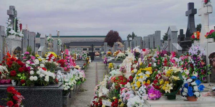 Marcelino Núñez marcó dos golazos para el triunfo de su equipo en Inglaterra