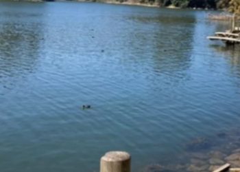 Suspenden clases en sectores de Iquique y Alto Hospicio por incendio en la Zofri