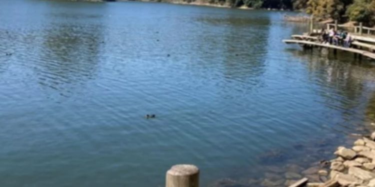 Suspenden clases en sectores de Iquique y Alto Hospicio por incendio en la Zofri