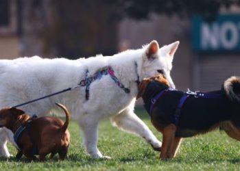 Presidente Boric confirma fin de Punta Peuco como penal para violadores de DDHH