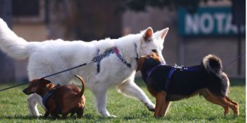 Presidente Boric confirma fin de Punta Peuco como penal para violadores de DDHH