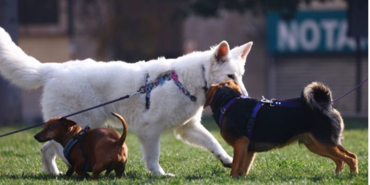 Presidente Boric confirma fin de Punta Peuco como penal para violadores de DDHH