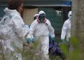 Encuentran casa de tortura y nuevas osamentas en San Vicente