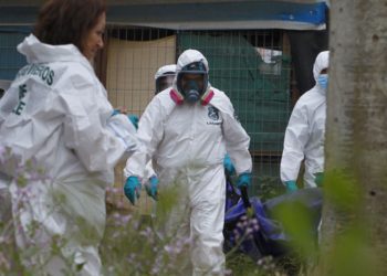 Encuentran casa de tortura y nuevas osamentas en San Vicente