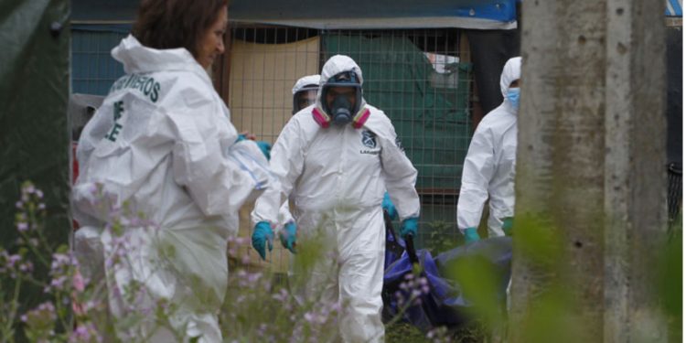 Encuentran casa de tortura y nuevas osamentas en San Vicente