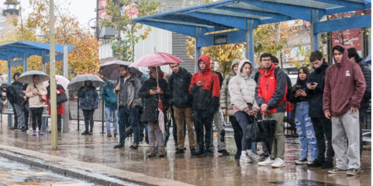 Encuentran casa de tortura y nuevas osamentas en San Vicente