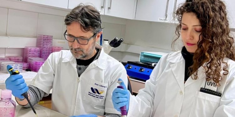 10 años del Centro Geropolis UV: vinculación con las personas mayores