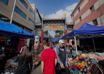 Trabajo Social en Chile: 100 años de historia, múltiples trayectorias formativas