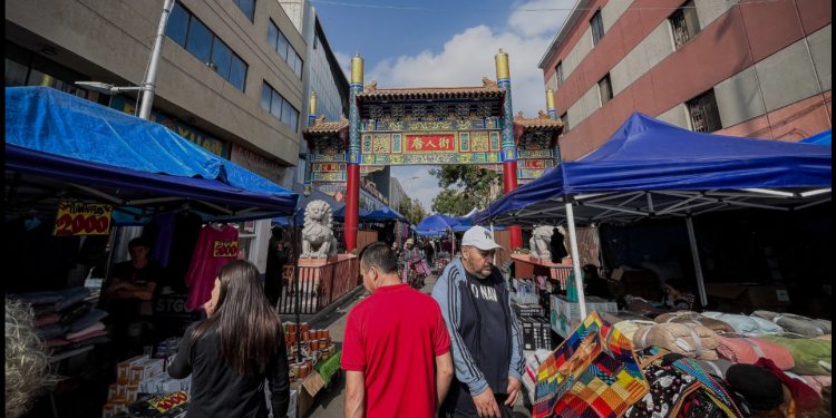 Trabajo Social en Chile: 100 años de historia, múltiples trayectorias formativas