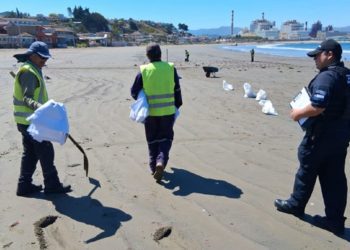 El estado de las cosas: Escuela de Bellas Artes de Viña del Mar
