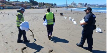El estado de las cosas: Escuela de Bellas Artes de Viña del Mar