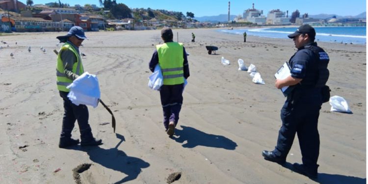 El estado de las cosas: Escuela de Bellas Artes de Viña del Mar