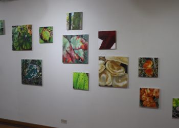 El estado de las cosas: Escuela de Bellas Artes de Viña del Mar