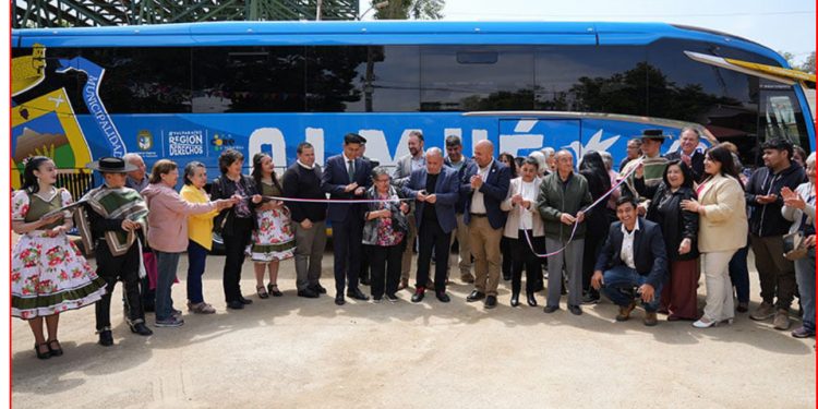 Seis recomendaciones para prevenir problemas de salud durante las elecciones