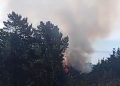 Incendio forestal en Laguna Verde activa Alerta SAE y piden evacuar El Leoncillo