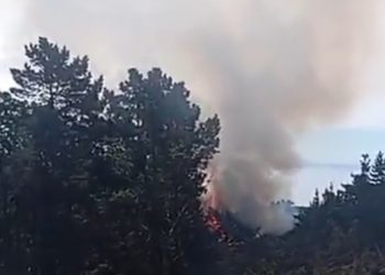 Incendio forestal en Laguna Verde activa Alerta SAE y piden evacuar El Leoncillo