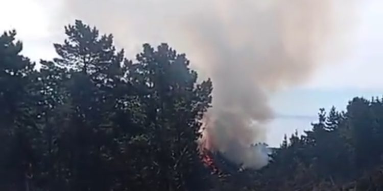 Incendio forestal en Laguna Verde activa Alerta SAE y piden evacuar El Leoncillo
