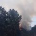 Incendio forestal en Laguna Verde activa Alerta SAE y piden evacuar El Leoncillo